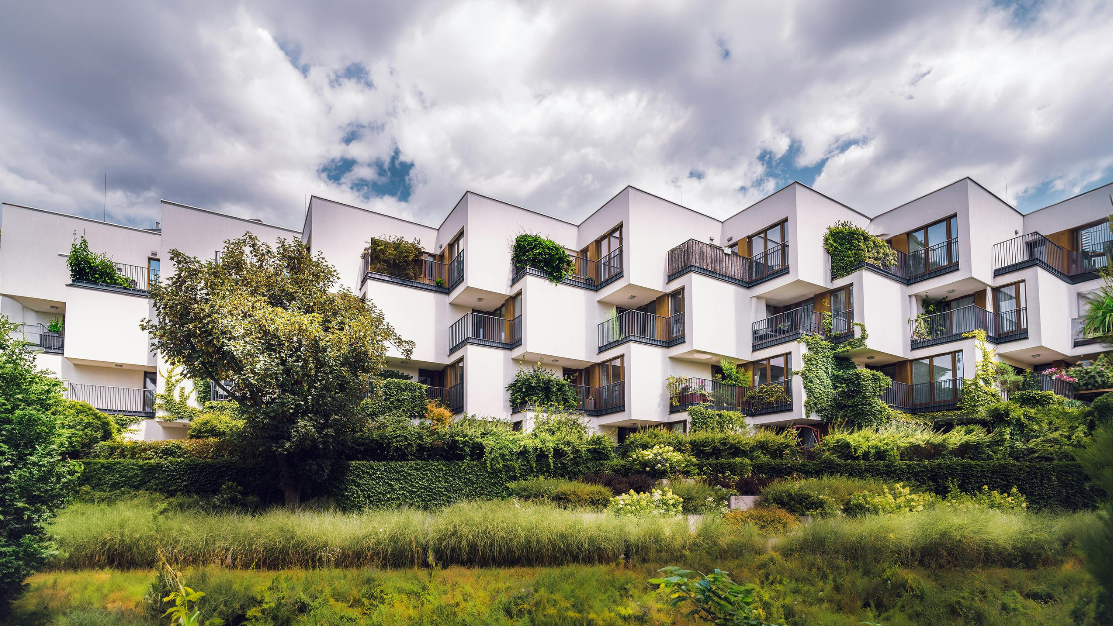 SCI logement locatif intermédiaire